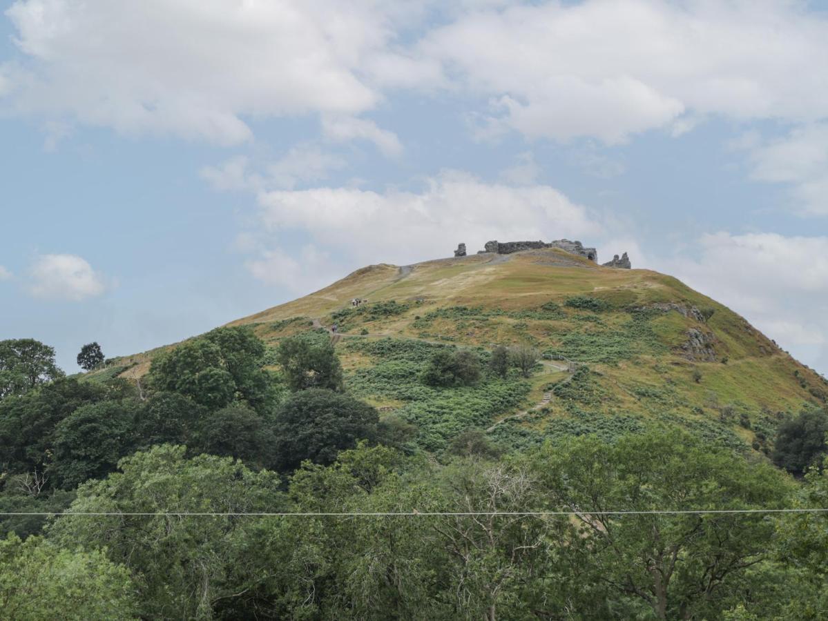 Tan Y Castell Shepherds Hut ランゴレン エクステリア 写真
